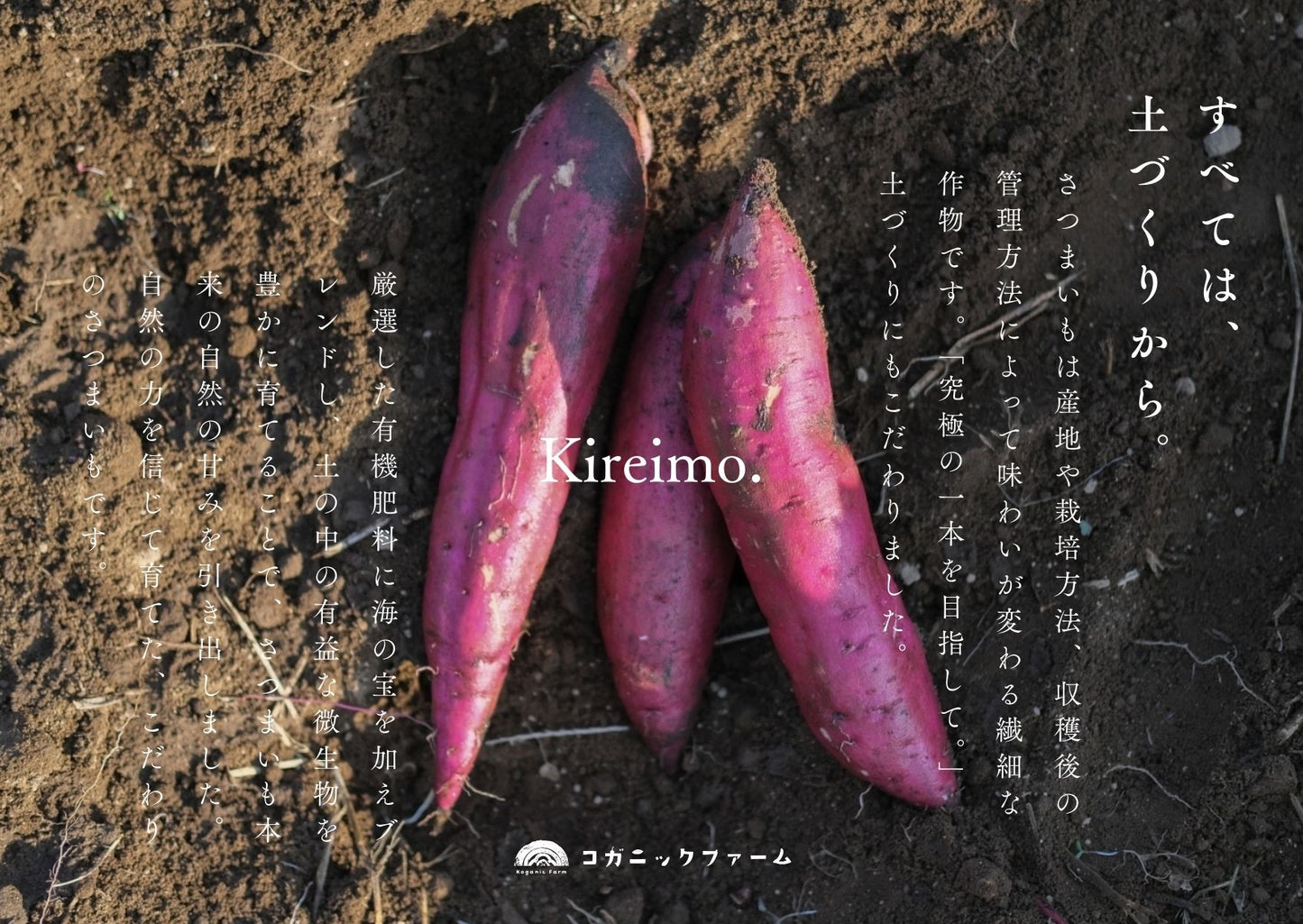 【数量限定予約販売】”芋株主” 募集中!