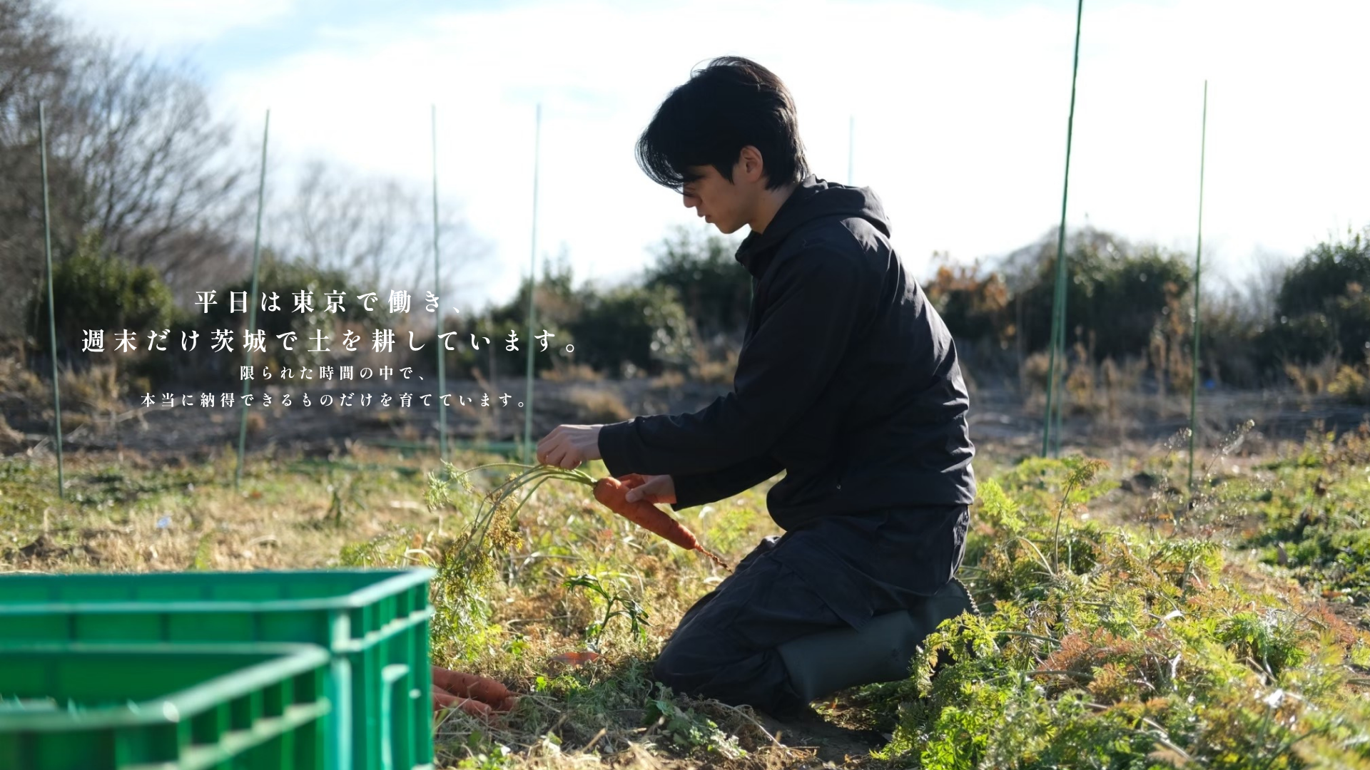コガニックファーム | 自然栽培の野菜直送 | 農薬・化学肥料・除草剤不使用 コガニックファーム | 自然栽培の野菜直送 | 農薬・化学肥料・除草剤不使用